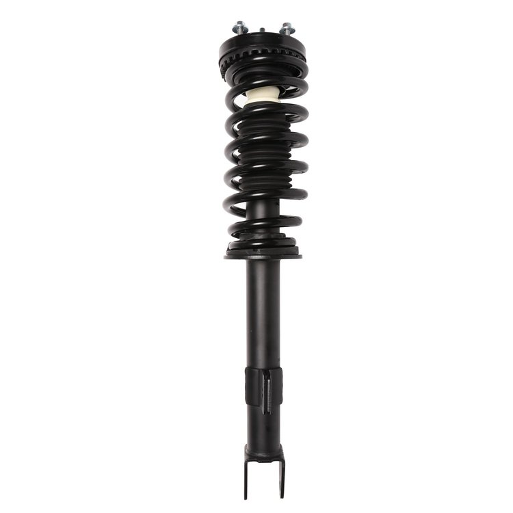 Strut Assembly