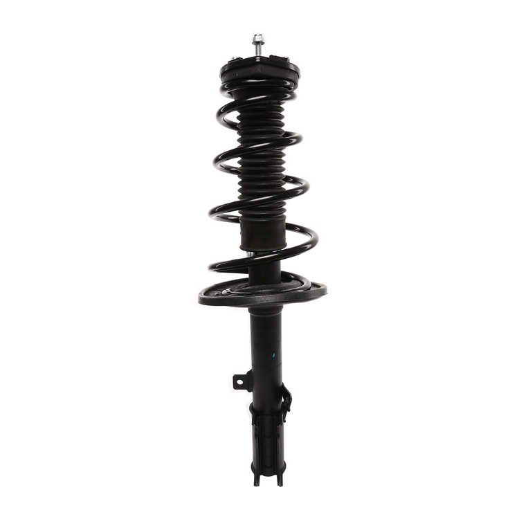 Strut Assembly