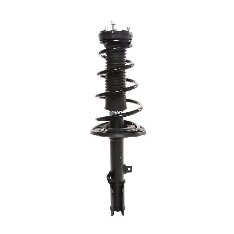 Strut Assembly