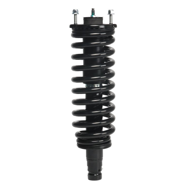 Strut Assembly