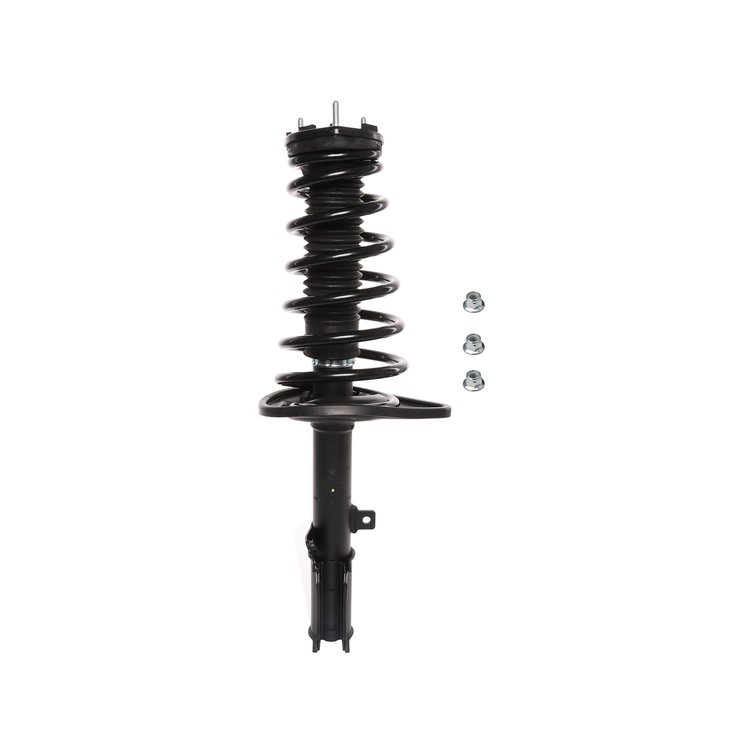 Strut Assembly