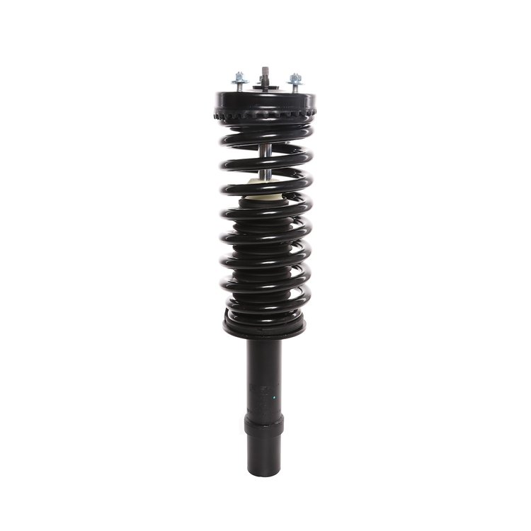 Strut Assembly