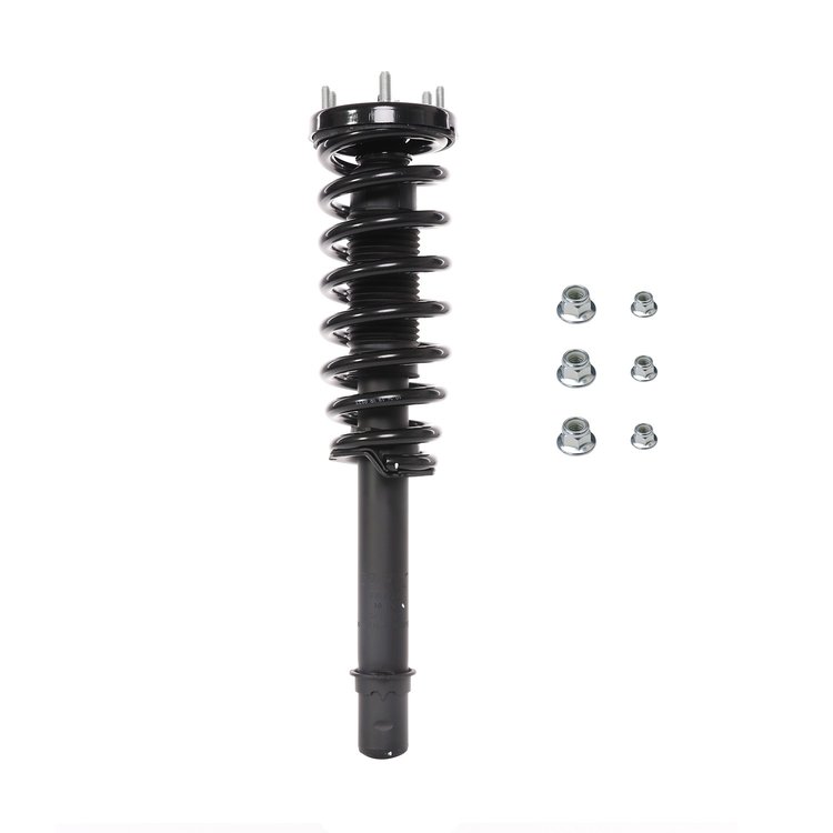Strut Assembly