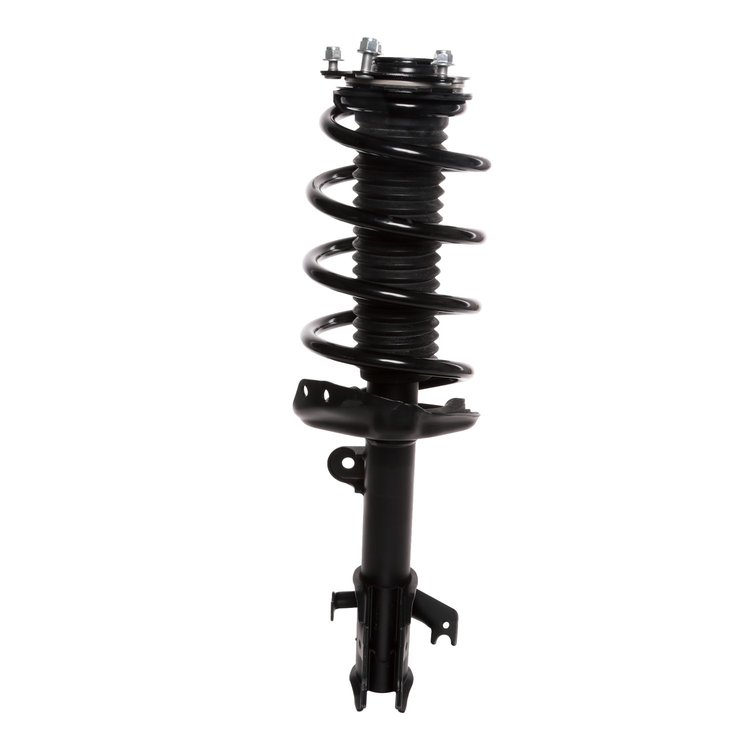 Strut Assembly