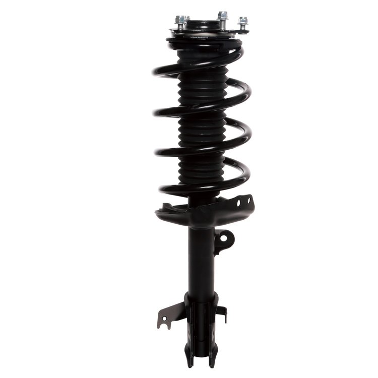 Strut Assembly