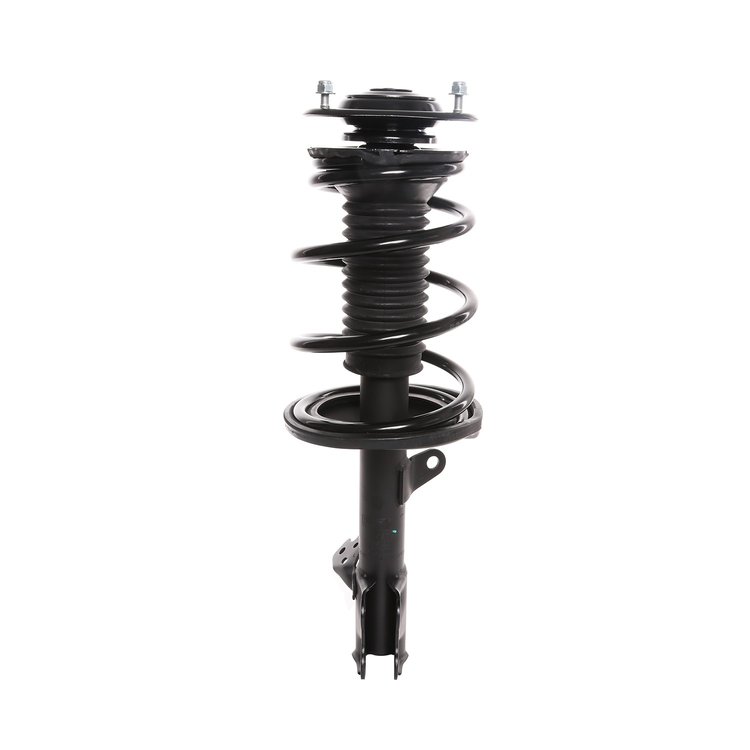 Strut Assembly