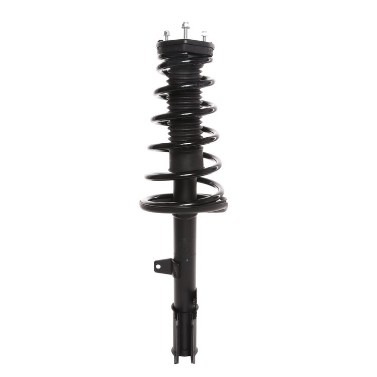 Strut Assembly