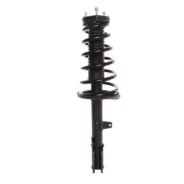 Strut Assembly