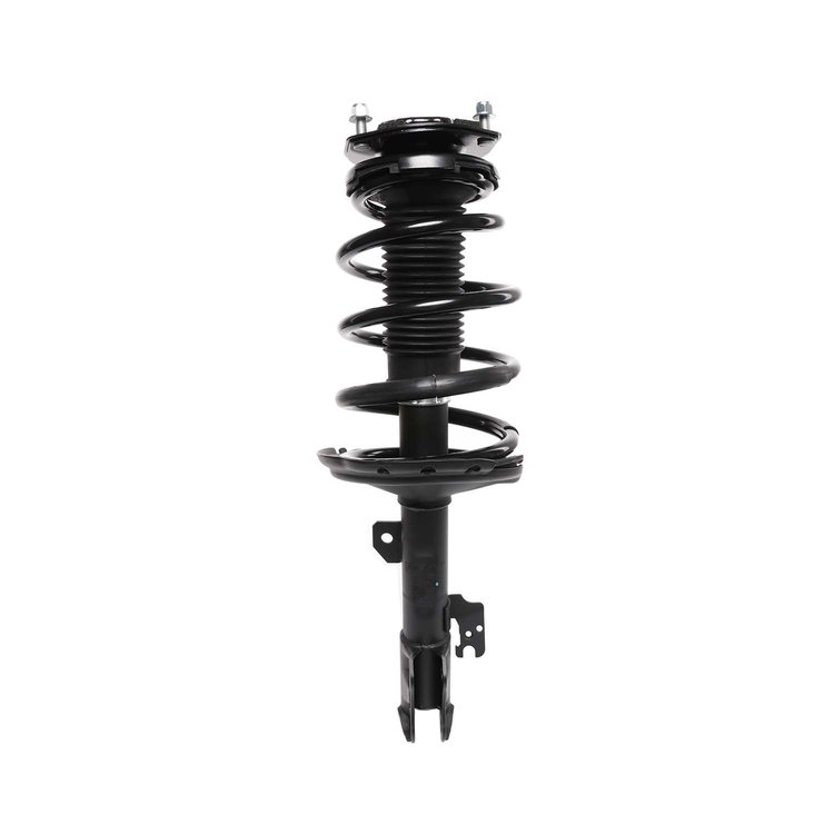 Strut Assembly