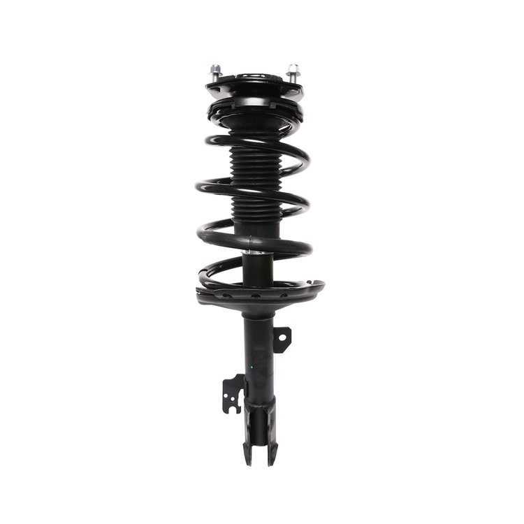 Strut Assembly