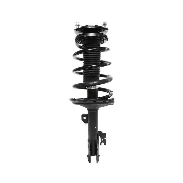 Strut Assembly