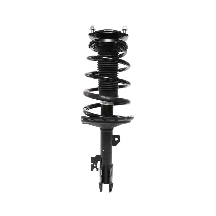 Strut Assembly