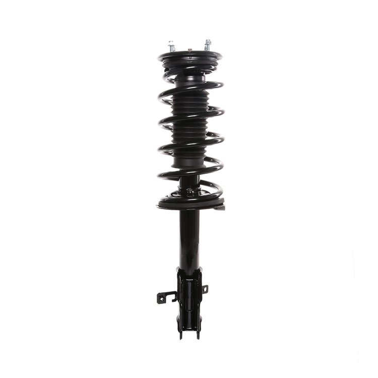Strut Assembly