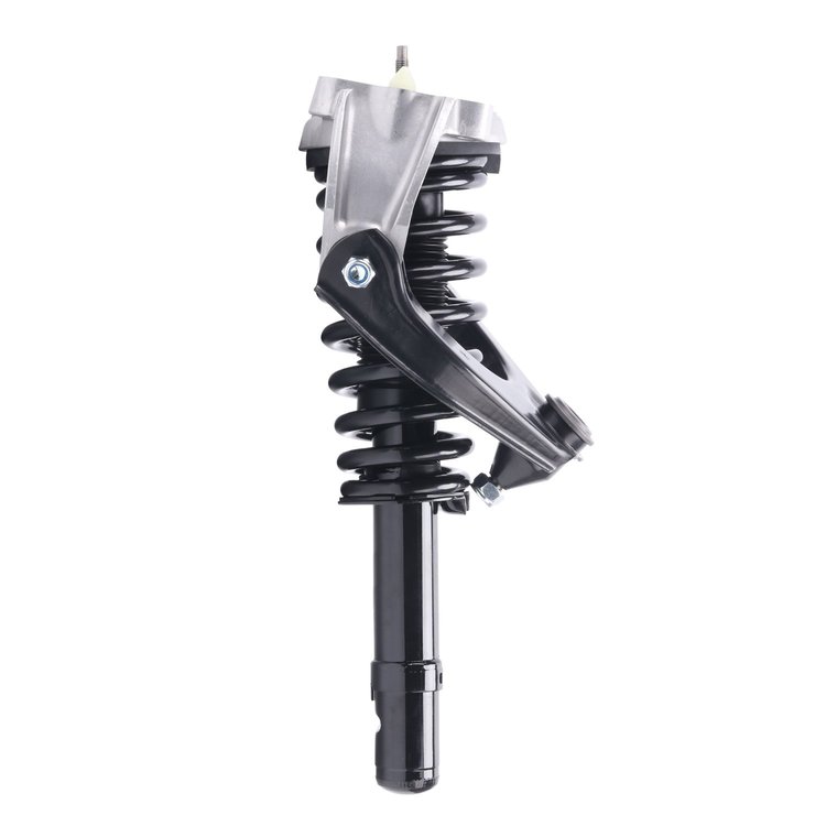Strut Assembly