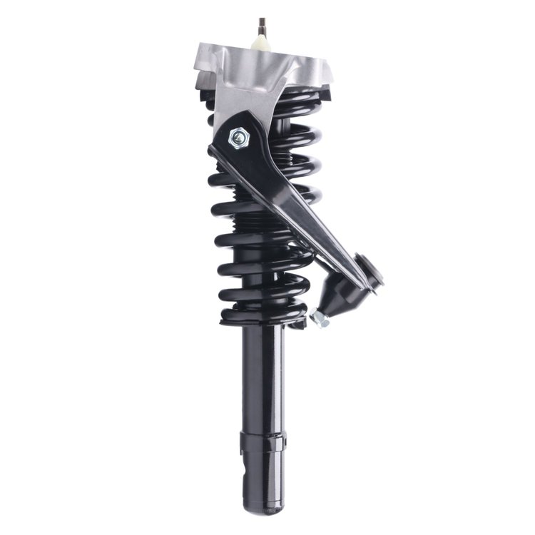 Strut Assembly
