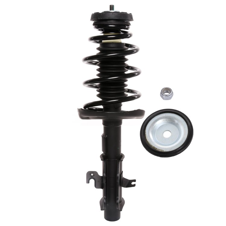 Strut Assembly