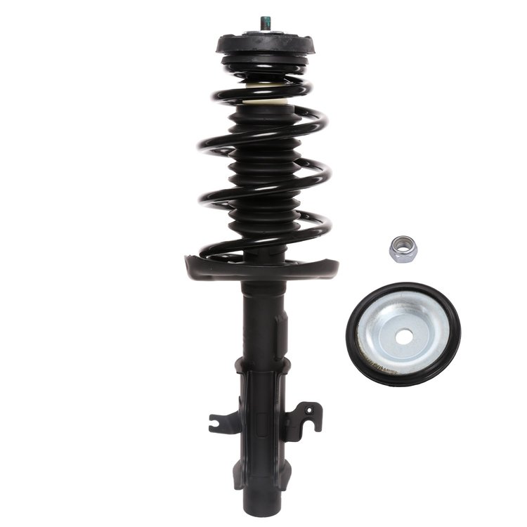 Strut Assembly