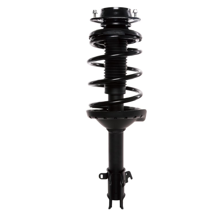 Strut Assembly
