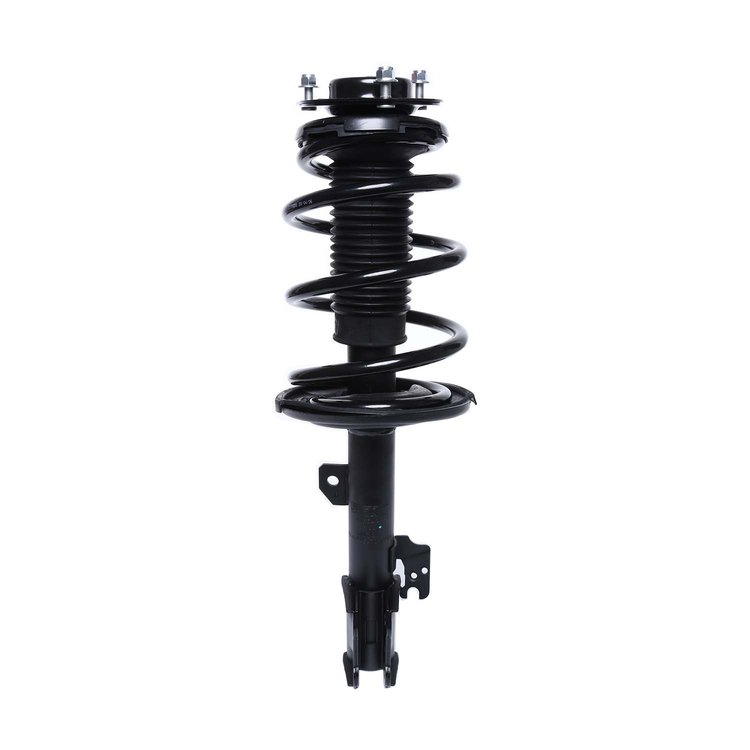 Strut Assembly