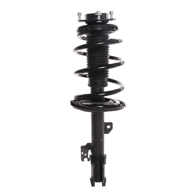 Strut Assembly