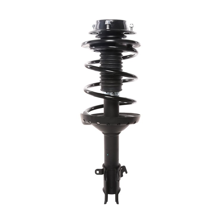Strut Assembly