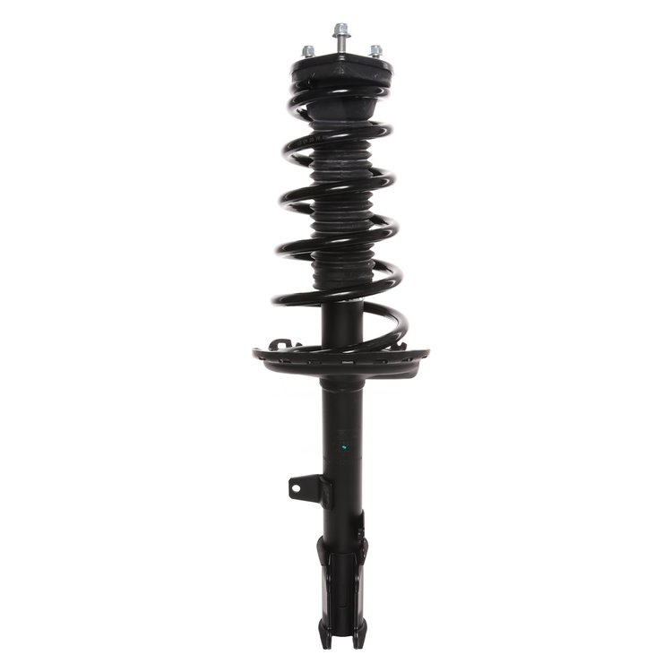 Strut Assembly