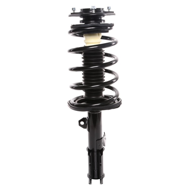 Strut Assembly