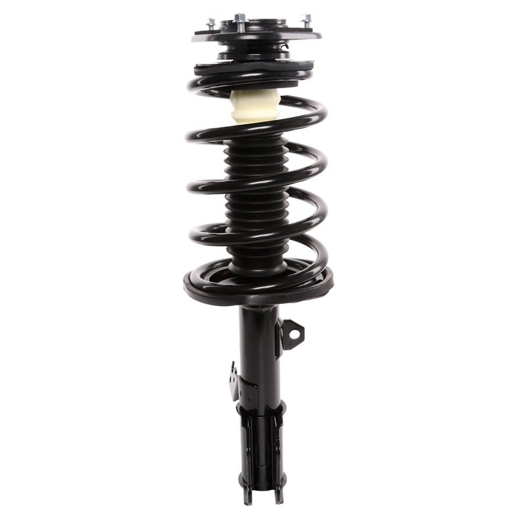 Strut Assembly
