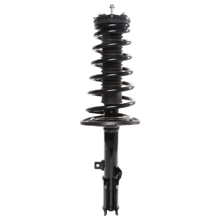 Strut Assembly
