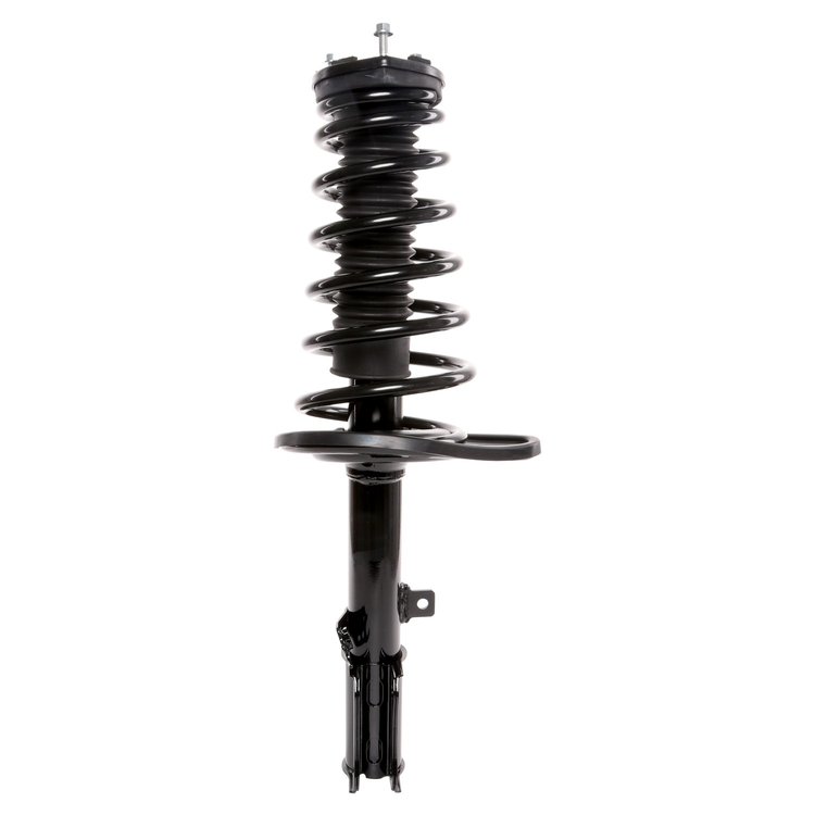 Strut Assembly