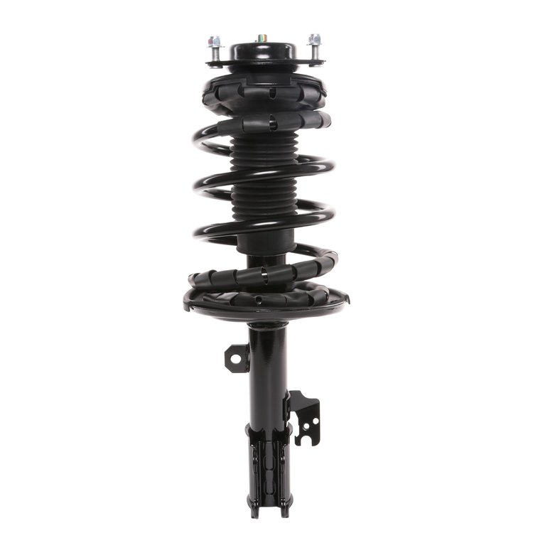 Strut Assembly
