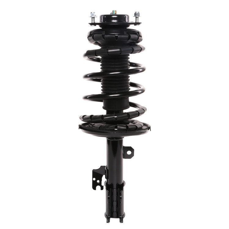 Strut Assembly