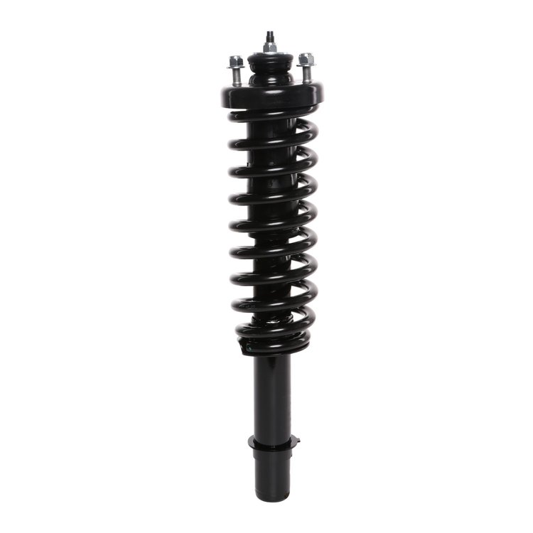 Strut Assembly