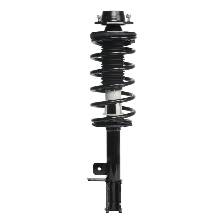 Strut Assembly