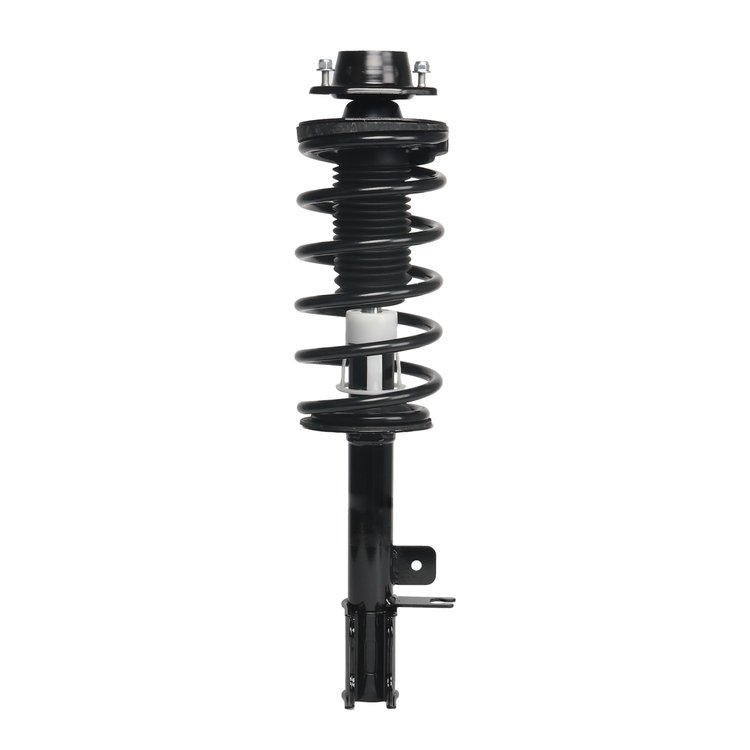 Strut Assembly