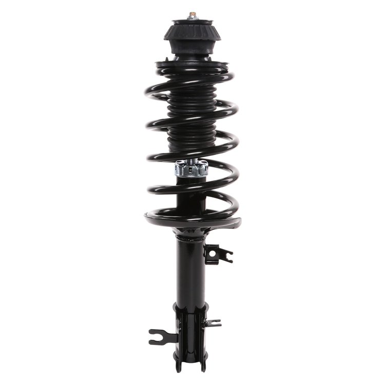 Strut Assembly