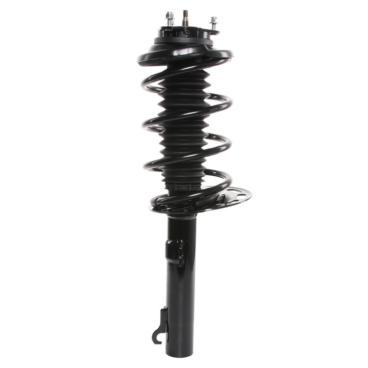 Strut Assembly