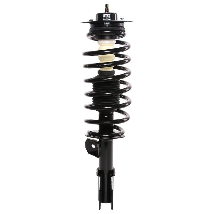 Strut Assembly