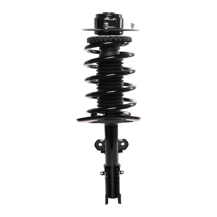 Strut Assembly