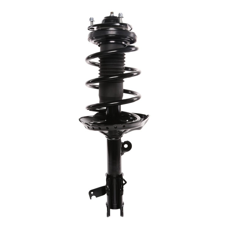 Strut Assembly