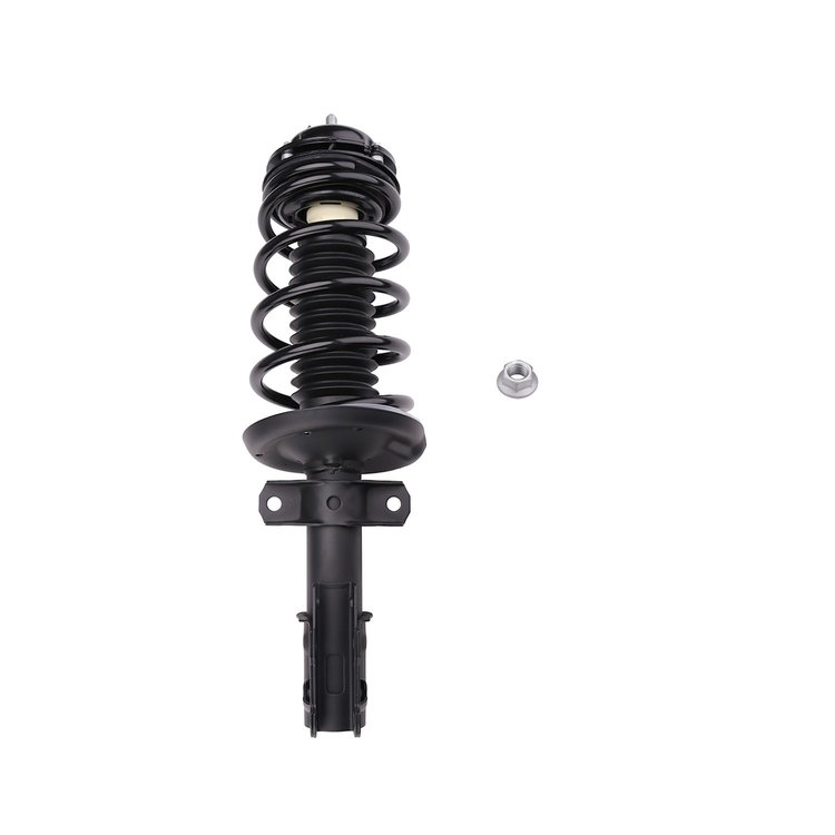 Strut Assembly