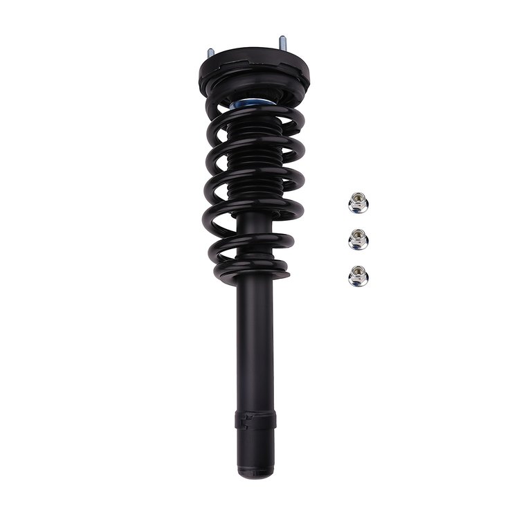 Strut Assembly