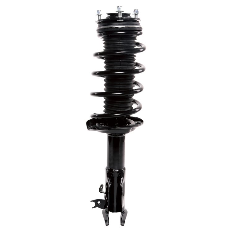 Strut Assembly
