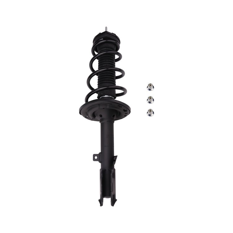 Strut Assembly