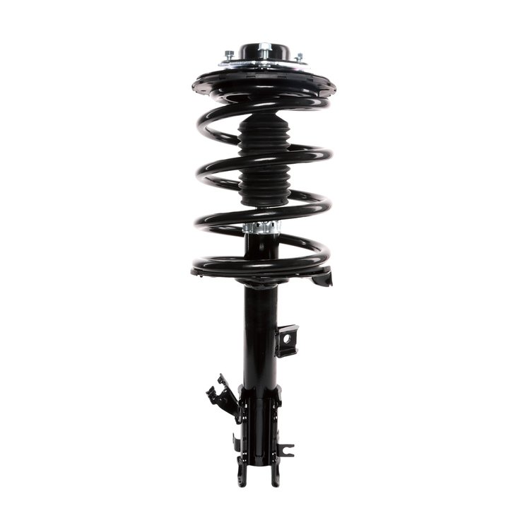Strut Assembly