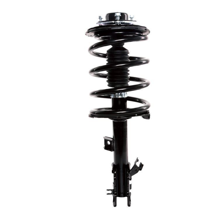 Strut Assembly