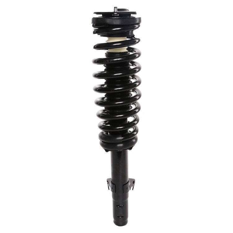 Strut Assembly