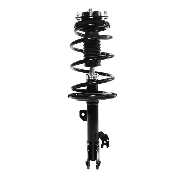 Strut Assembly