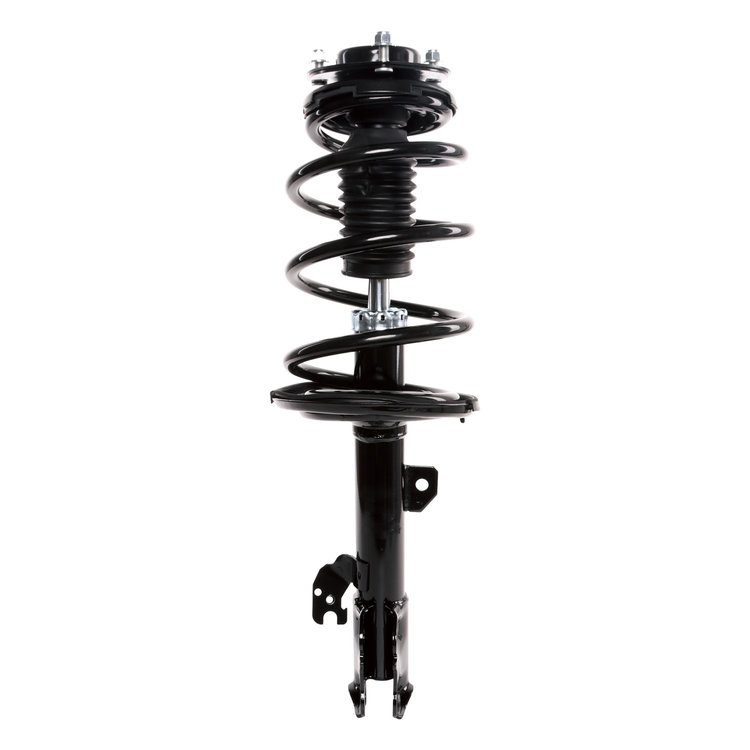 Strut Assembly