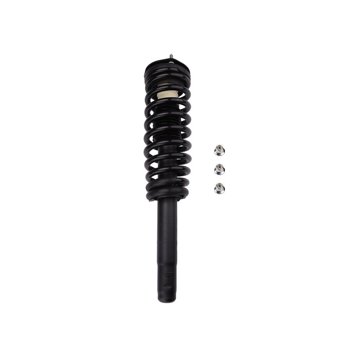 Strut Assembly